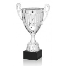 Taça Prestige