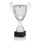 Taça Prestige