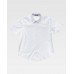 Básicos camisa manda curta